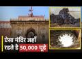 Karni Mata Temple : ऐसा अद्भुत मंदिर जिसकी कहानी सुन कर हैरान हो जाएगें 25 Karni Mata Temple : ऐसा अद्भुत मंदिर जिसकी कहानी सुन कर हैरान हो जाएगें