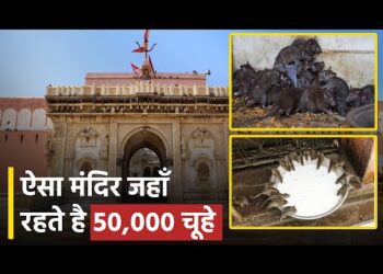 Karni Mata Temple : ऐसा अद्भुत मंदिर जिसकी कहानी सुन कर हैरान हो जाएगें