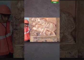 Ram Mandir Ayodhya : सोने से मढ़े 14 दरवाजे बढ़ाएंगे राम मंदिर की भव्यता, ट्रायल हुआ पूरा #shorts