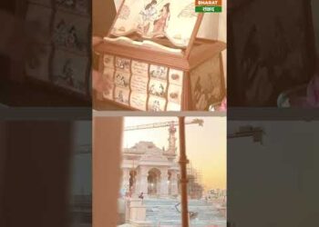 Ramayana : अयोध्या पहुंची खास लकड़ी से बनी 165000 रुपये की रामायण #shorts