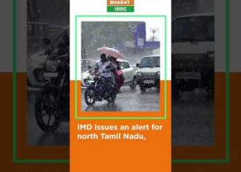 Daily News Wrap | 8 December 2022