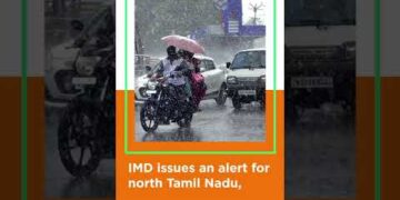 Daily News Wrap | 8 December 2022