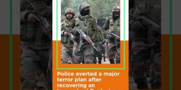 DNW 26th December 2022 #shorts 1 DNW 26th December 2022 #shorts