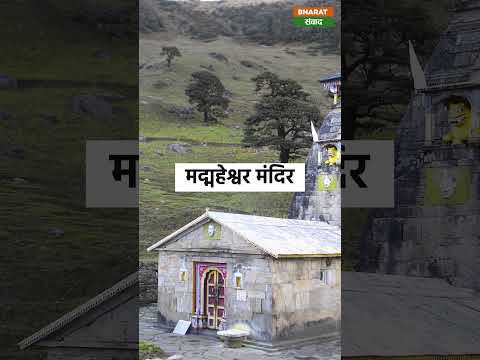 Panch Kedar : उत्तराखंड में मौजूद पंच केदार का क्या है महत्व और कब खुलेंगे इनके कपाट ? #shorts 6 Panch Kedar : उत्तराखंड में मौजूद पंच केदार का क्या है महत्व और कब खुलेंगे इनके कपाट ? #shorts