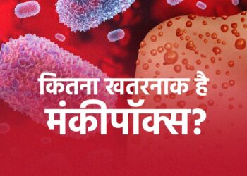 दुनिया में बढ़ रहा है मंकीपॉक्स का कहर