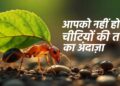 डायनासोर के समय से आज तक कैसे बदला चींटियों का इतिहास 29 डायनासोर के समय से आज तक कैसे बदला चींटियों का इतिहास