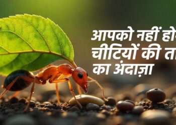 डायनासोर के समय से आज तक कैसे बदला चींटियों का इतिहास