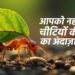 डायनासोर के समय से आज तक कैसे बदला चींटियों का इतिहास