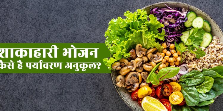 2026 के राज्य चुनाव: BJP, कांग्रेस और क्षेत्रीय दलों की अग्निपरीक्षा 6 शाकाहारी जीवनशैली: एक स्वस्थ विकल्प
